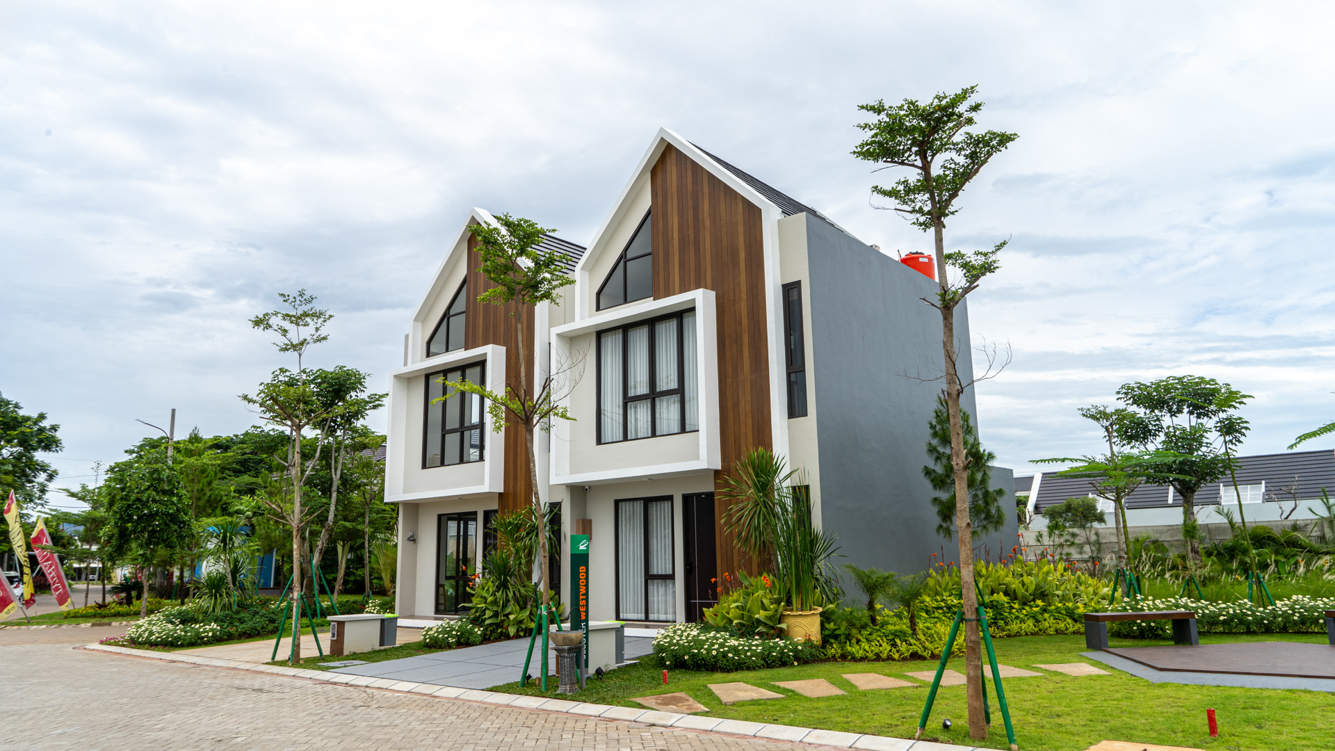 Tipe Typha